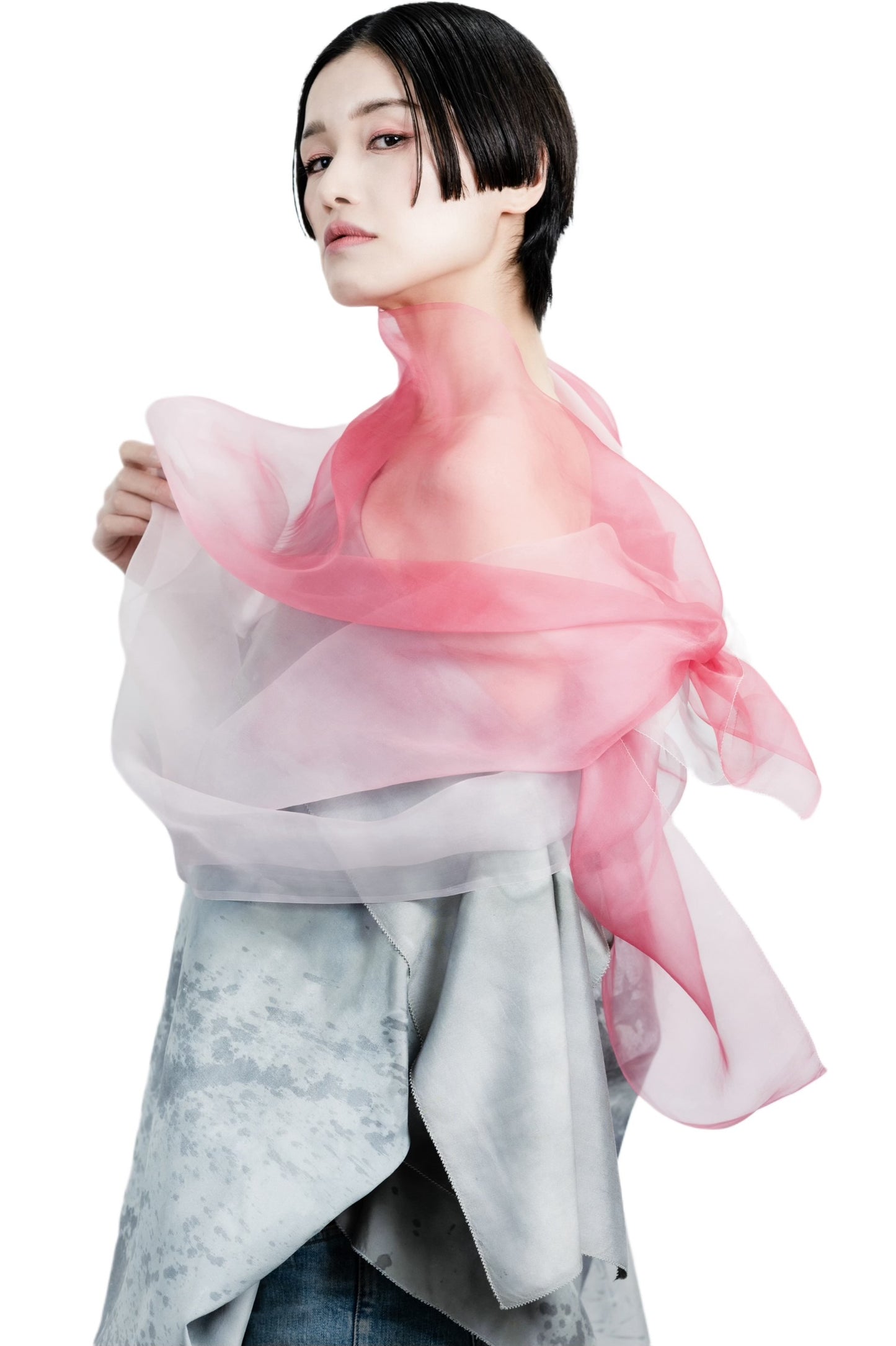 ９９売切｜ＷＰＺＥＮ＿ＴＨＥ ＶＥＩＬ