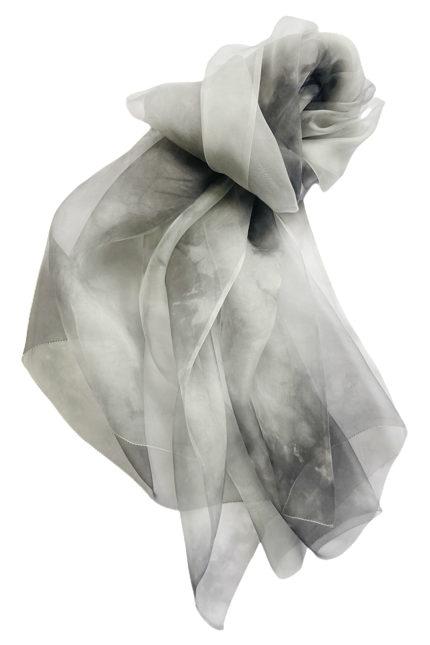 ２９｜ＷＰＺＥＮ＿ＴＨＥ ＶＥＩＬ