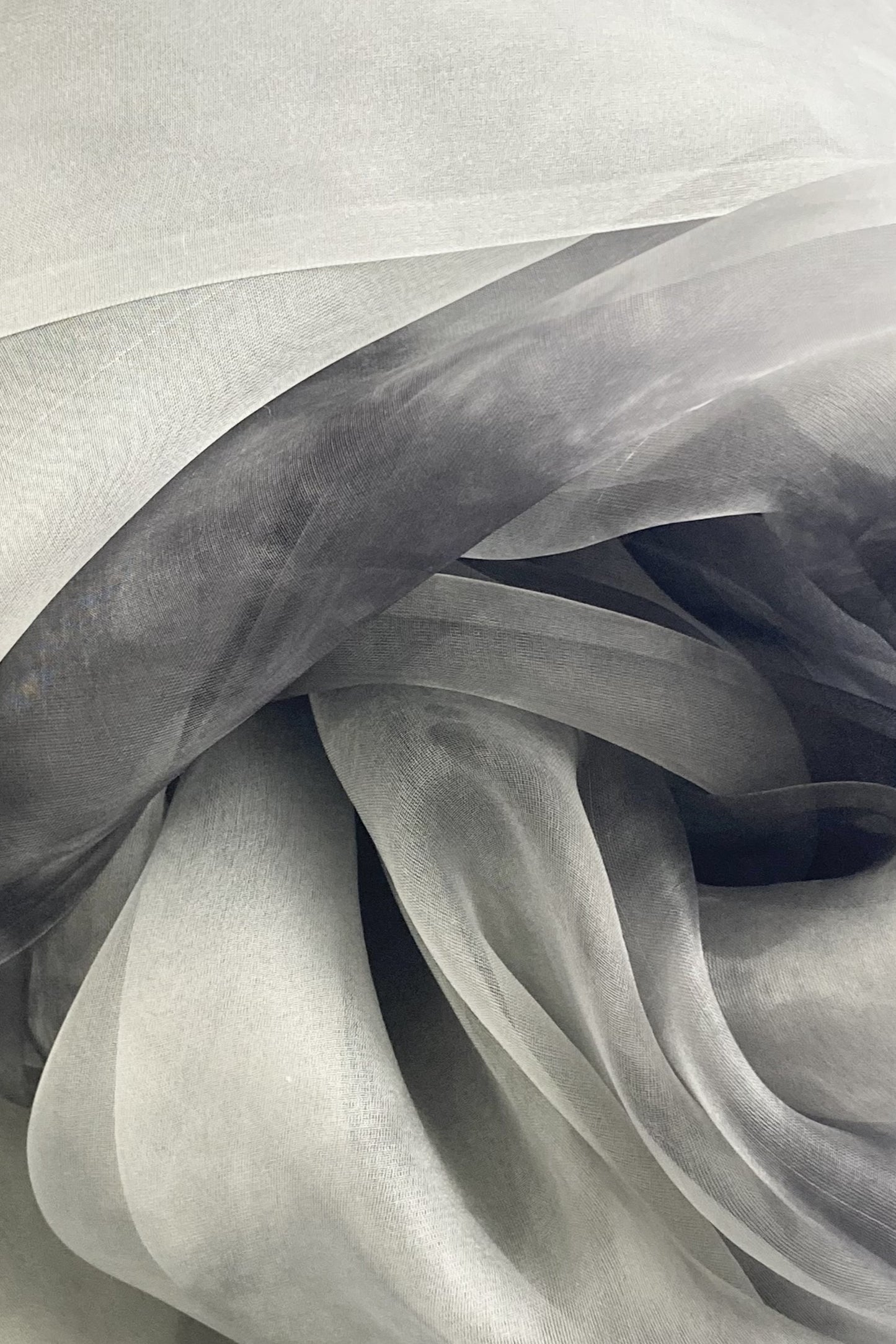 ２９｜ＷＰＺＥＮ＿ＴＨＥ ＶＥＩＬ